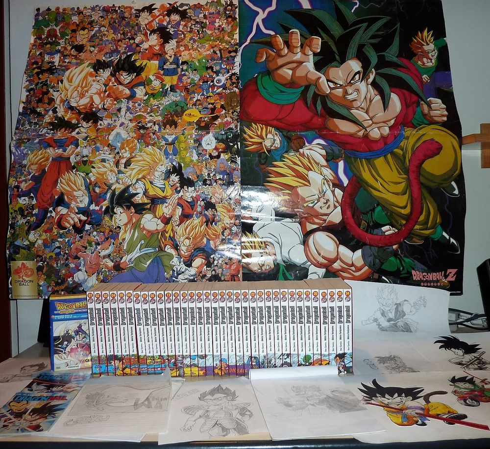 Vincitore Concorso Dragon Ball Super.JPG
